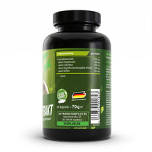 ZEC+ ESTRATTO DI TÈ VERDE 120 capsule