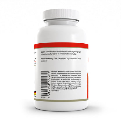 HEALTH+ VITAMINA B6 120 cápsulas 