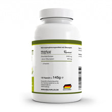 HEALTH+ ESTRATTO DI FOGLIE D'OLIVO Capsule, 120 Capsule